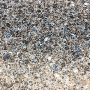 Meet your Posher, Gary